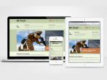 SEO, HTML5 Responsive, Multilingual Website