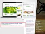 SEO Website, Search engine optimization